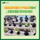 오팔농장 이미지