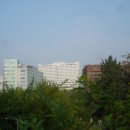 아산병원 이미지