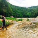 안단테 홍천캠핑장 이미지