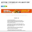 가마골바 이미지