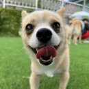 더리터전주박물관점