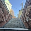 막곡천 | [시계 수리] 시계 수리하는 손이 엄청 빠르고 꼼꼼한 베테랑 종로 ‘시계 동네’