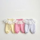 아이비비드 이미지