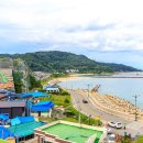 월송정생활체육공원 이미지