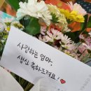 꽃해요 이미지