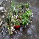 횡성등기소(법원) 이미지