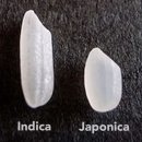 경기미쌀마트 이미지