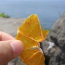 바당어린이공원 이미지