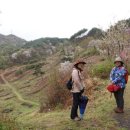 금암3리마을회관 이미지