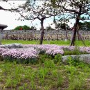 동남공원 이미지