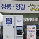 대보주유소 뉴데일리