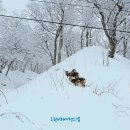 딱따구리문구 - 성동구 왕십리로 211 | 홋카이도 시레토코 여행 코스, 세계유산보존센터부터 우토로항 유빙체험까지 (입장료 무료, 포켓몬 맨홀...