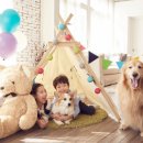 디테일 동물의료센터 이미지