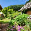 무릉도원면-34 이미지