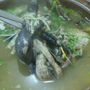 참게마을 Daum카페