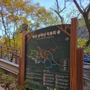 자연밥상 | 부산 승학산 힐링 트레킹 후 자연밥상 맛집 후기