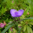 순천금당중학교 이미지