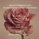라포레스트 | 벨르앤코 플로라마스터 핸드 앤 바디로션 내돈내산 드 로즈, 라포레스트 비교 리뷰