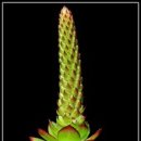 영원초등학교 이미지