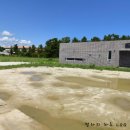 현자네 맛집 | 강릉 주문진 맛집 현자네해물촌 방문 후기, 해물찜이랑 전복회 먹고 왔어요.