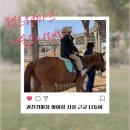 장마루촌 안전마을쉼터 앞 | 과천경마장 아이랑 렛츠런파크 서울 포니랜드 주차 체험 꿀팁