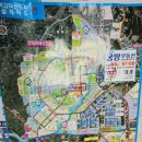 평택고덕몽땅부동산공인중개사사무소 | 평택고덕 이현미교수님 임장