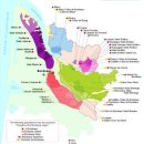 로버트개러지 이미지