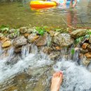 가평블루베리힐 이미지