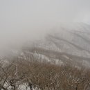 삼막5 이미지