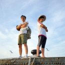 대둔도 | 사춘기 아들과 함께한 4박5일 홍도, 흑산도, 대둔도 여행 후기