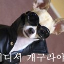 무지개농장 이미지