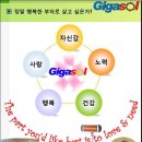 기가솔