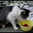 부뚜막이야기 이미지