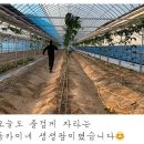 동부산팜 이미지