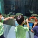 원천초병설유치원 이미지