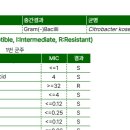 수헤어 (HAIR) 이미지
