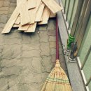 진위초등학교병설유치원 이미지