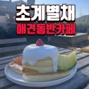 점촌/문경 애견 동반가능 카페 &lt;초계별채&gt; 메뉴/위치/솔직후기