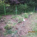 부엉이 농장 이미지