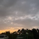 기품 타이곤 태권도장 이미지