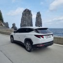 이렌트카 이미지