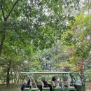 인호농장 | 가을 남이섬 신인가수 프로필 사진 촬영 동행기록