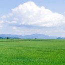 (주)충남유통 이미지