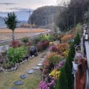 지풍로(풍산읍,풍천면) 이미지