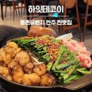 효동로2길 | 동촌유원지 맛집 하잇테코이 데이트하기 딱 좋은 대구 이자카야 술집 후기