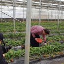 부영농원 이미지