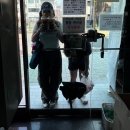 개 웃는날 | 예쁜 나이 25의 기록