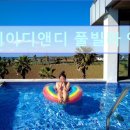 스튜디오202스테이 | 제주도 여행 숙소 추천 스테이디앤디 풀빌라 앤 리조트 스테이디앤디, 예쁜 바다뷰의 풀빌라