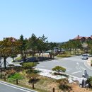 엘도라도 이미지