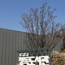 반야월역사 작은도서관 내 | [서울] 북촌 한옥마을 정독도서관 후기｜노벨문학라운지·건물구조·자율학습실까지 총정리